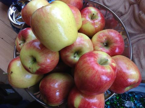 Ambrosia Apples