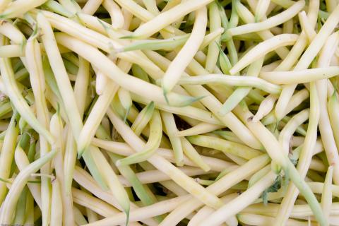 Wax Beans