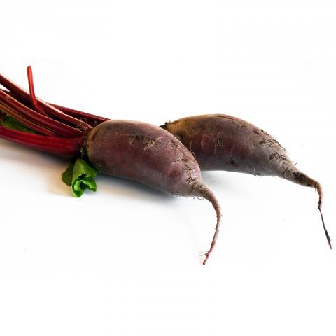 Forono Beets Forono Beets