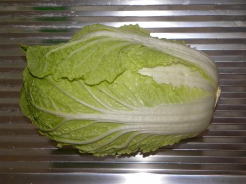 Cabbage, Napa Cabbage / Chinese Credit: Andreas Cabbage, Napa Cabbage / Chinese Credit: Andreas