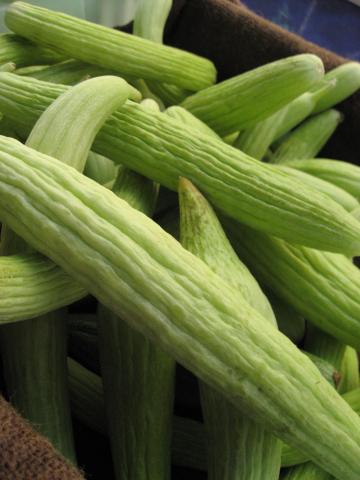 Armenian Cucumbers