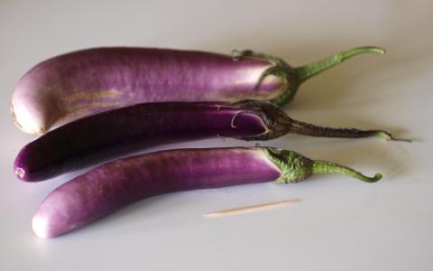 Eggplant, Japanese Eggplant Credit: F. D. Richards Eggplant, Japanese Eggplant Credit: F. D. Richards