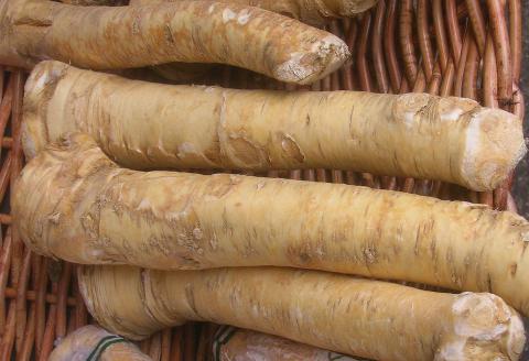 Horseradish Credit: Kren Verkauf