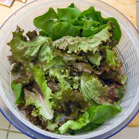 Lettuce, Spring Mix Credit: Robert Couse Baker