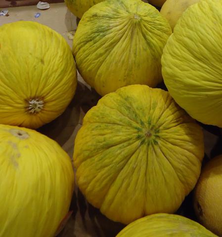 Casaba