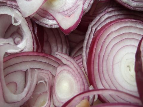 Red Burgundy Onion