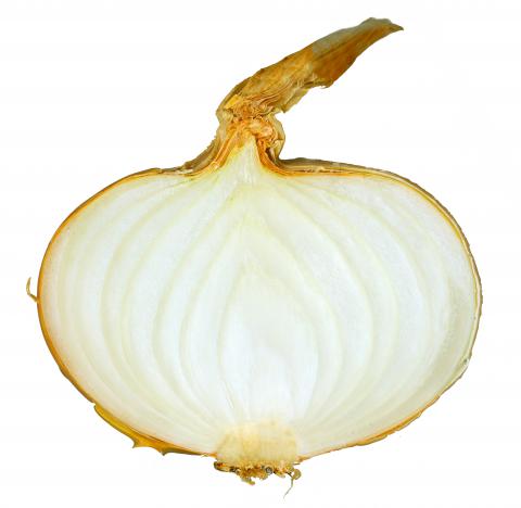 Onion, White