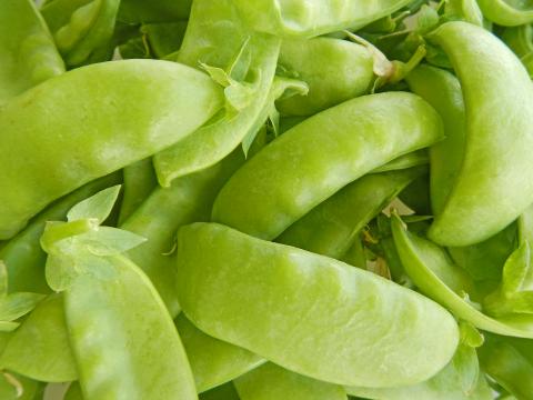 Snow Peas Snow Peas