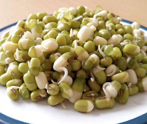 Mung bean sprouts Credit: Lucianne