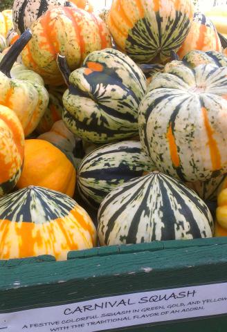 Gold Acorn Squash