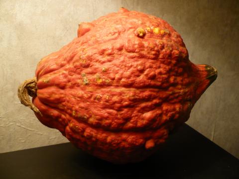 Hubbard Squash