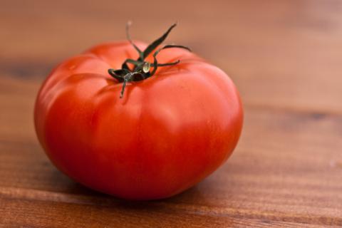 Tomatoes, Burbank Tomato