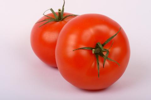 Tomatoes, Siberian