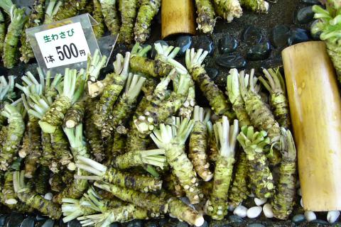 Wasabi Credit: Daio