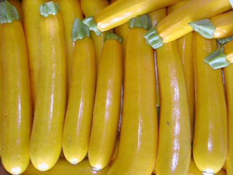 Golden Zucchini