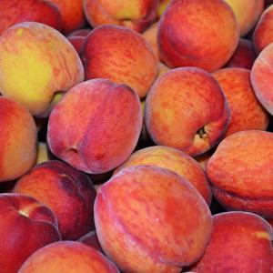Desert Gold Peach