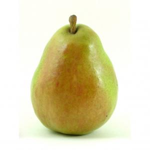 D'Anjou Pears