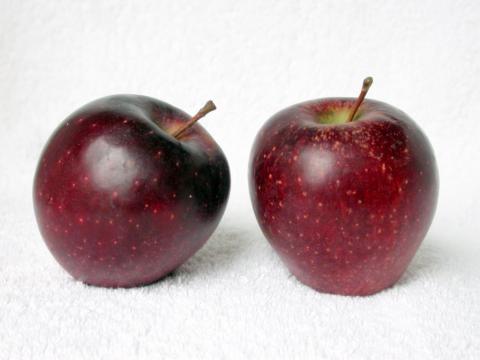 Red Delicious Apples Red Delicious Apples