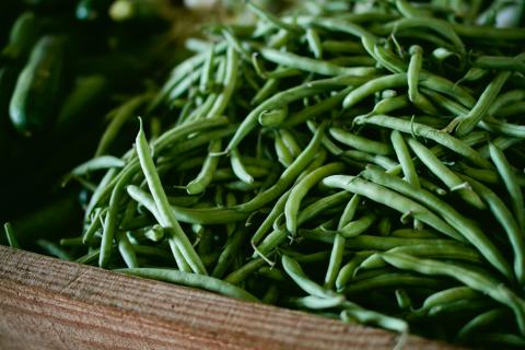 Standard Beans Standard Beans