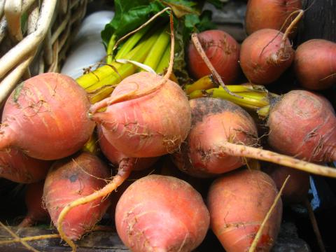 Golden Beets