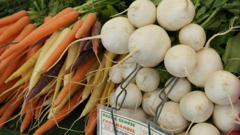 White Beets White Beets