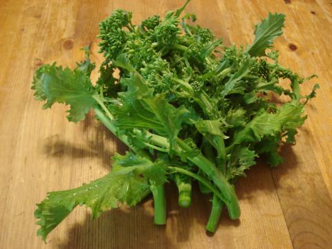 Broccoli Rabe Credit: C. Bertel Broccoli Rabe Credit: C. Bertel