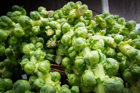 Brussel Sprouts