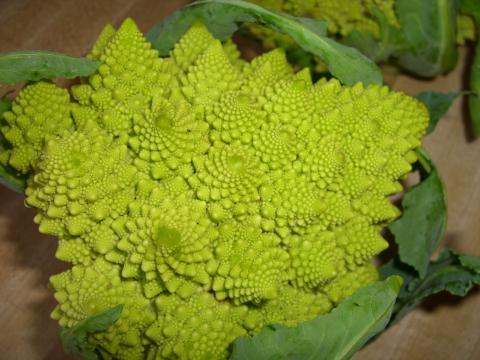 Cauliflower, Heirloom Cauliflower