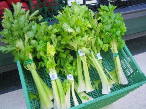 Celery Celery