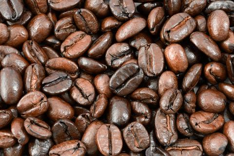 Standard Coffee Standard Coffee