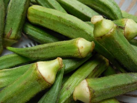 Okra Okra