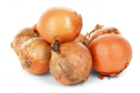 Onion, Sweet Spanish Yellow Utah Jumbo Onion, Sweet Spanish Yellow Utah Jumbo
