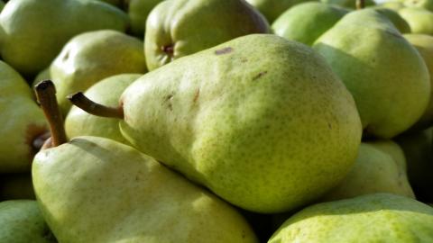Bartlett Pears Bartlett Pears