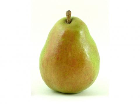 D'Anjou Pears