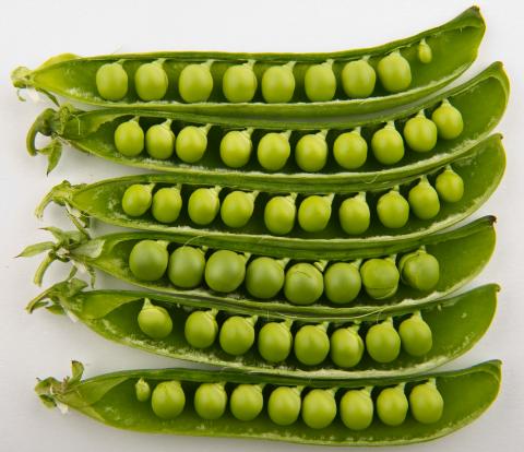 Green Peas Green Peas