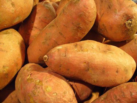Sweet Potato Sweet Potato