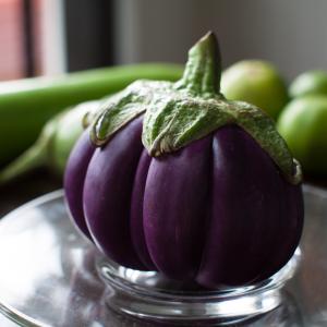 Eggplant, Black Globe Eggplant