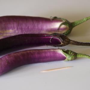 Eggplant, Japanese Eggplant Credit: F. D. Richards