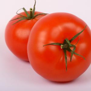 Tomatoes, Siberian