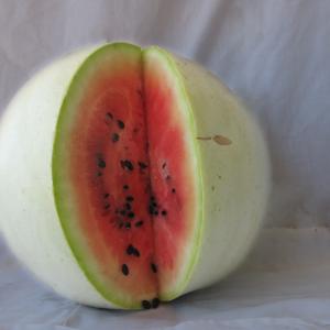 Navajo Red-Seeded Watermelon Credit: Native Seed Search